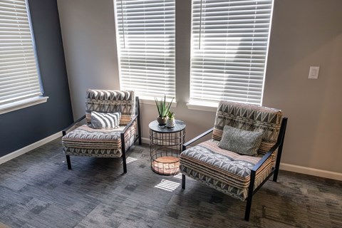 Two chairs with cushions and a small table with a plant on it.