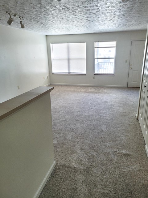 a living room with a carpeted floor and two windows