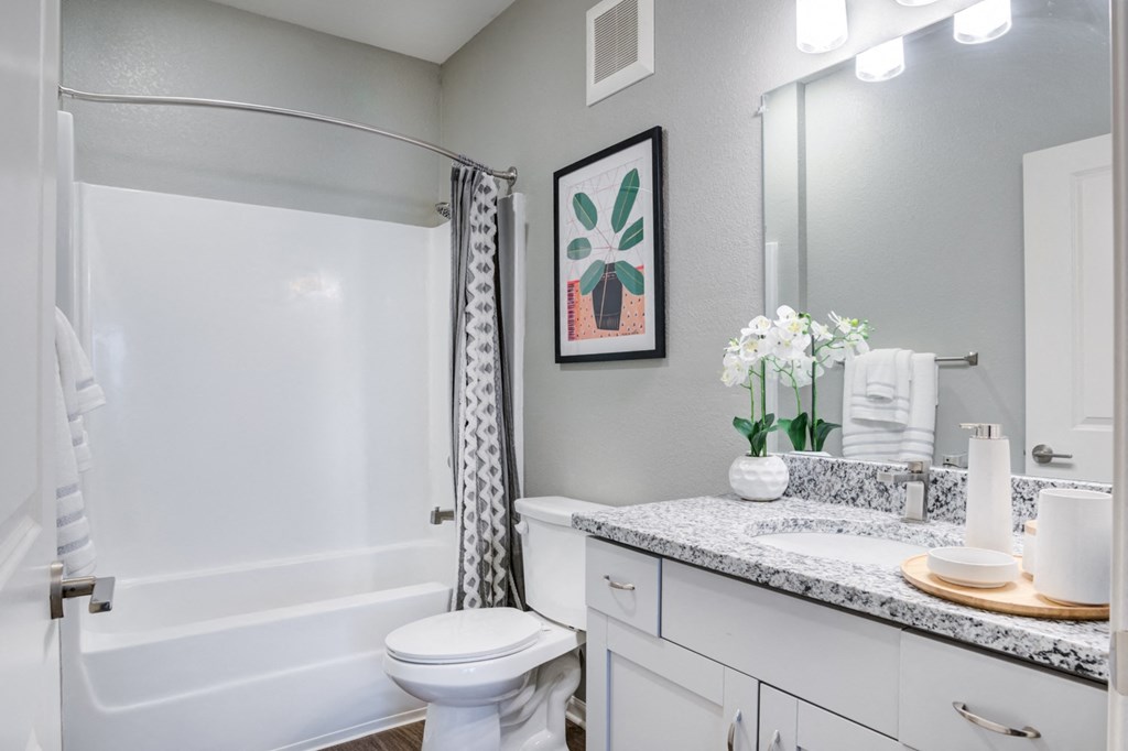 a bathroom with a shower toilet and sink