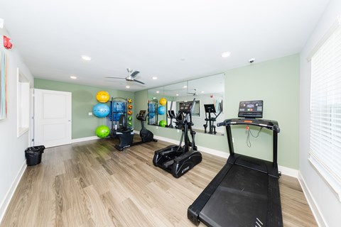 A home gym with a treadmill, exercise balls, and other equipment.