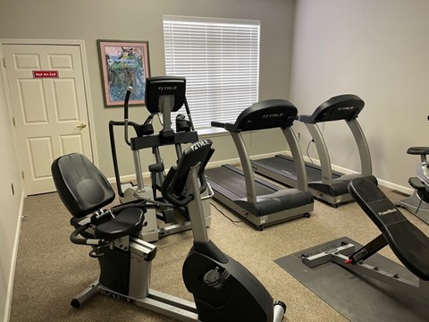 A gym with treadmills and elliptical machines.