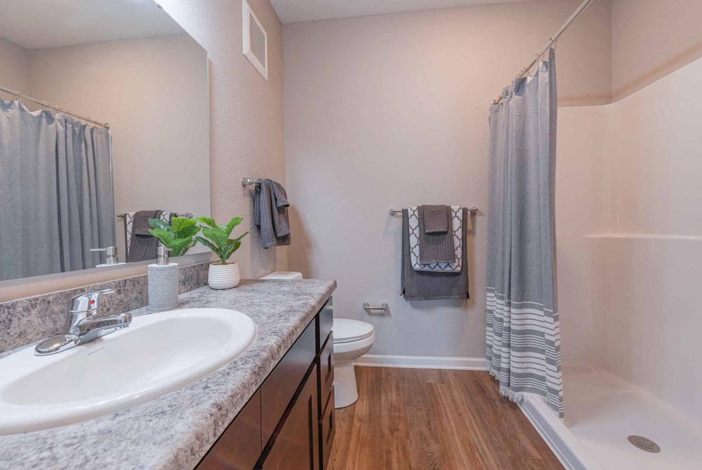 a bathroom with a sink and a toilet