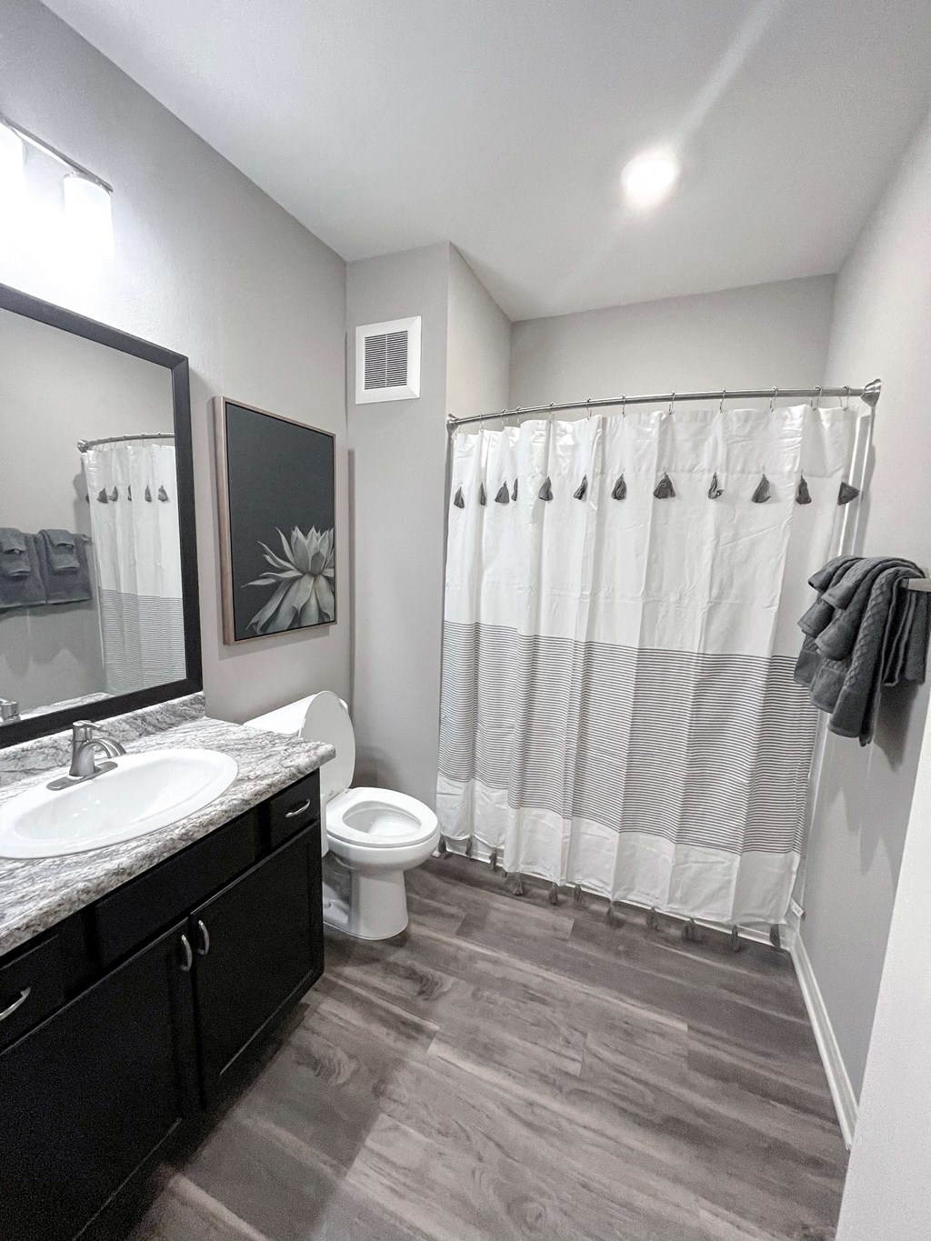 a bathroom with a shower toilet and sink and a mirror