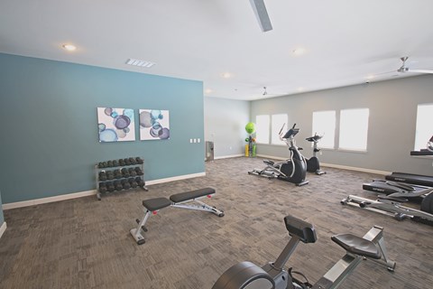A gym with a variety of equipment including weights, a bench, and a treadmill.