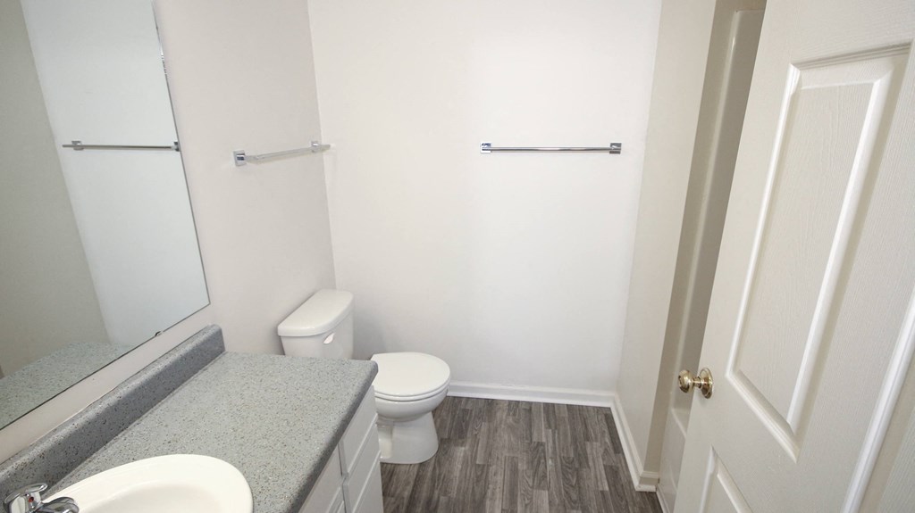 a bathroom with a toilet and a sink and a mirror