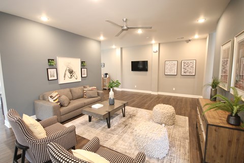 A living room with a grey couch, a coffee table, and a television.