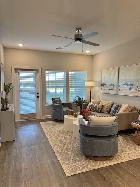 A living room with a grey sofa and a white rug.