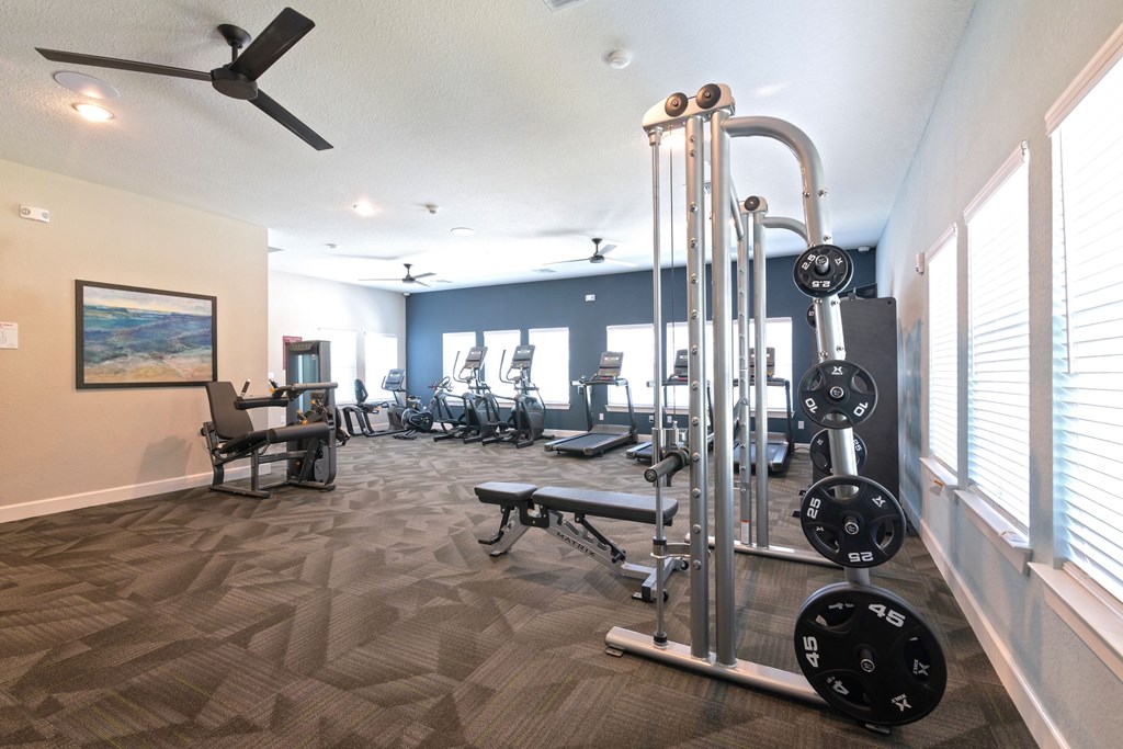 A gym with a variety of equipment including weights and a bench.
