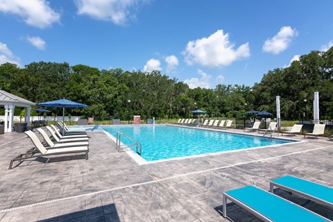 A pool surrounded by trees and chairs.