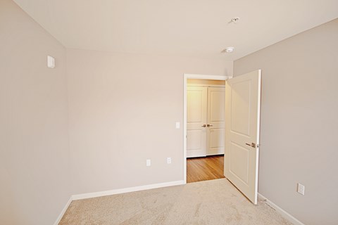 A room with a white door and a carpet on the floor.