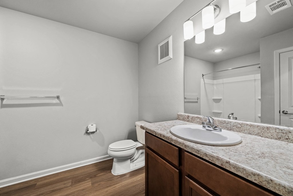a bathroom with a sink and a toilet and a mirror
