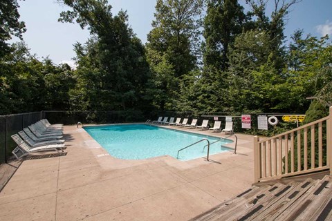 A pool surrounded by trees and chairs.
