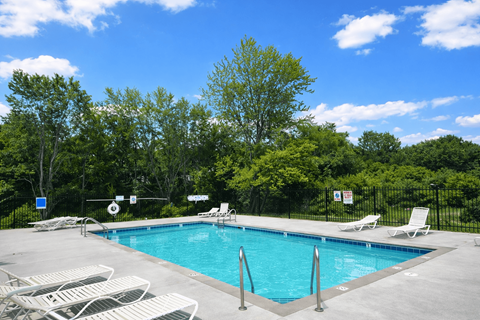 A pool surrounded by trees and chairs.