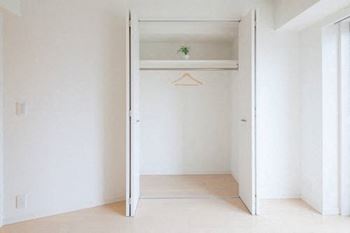 A white closet with a hanger and a plant on top.
