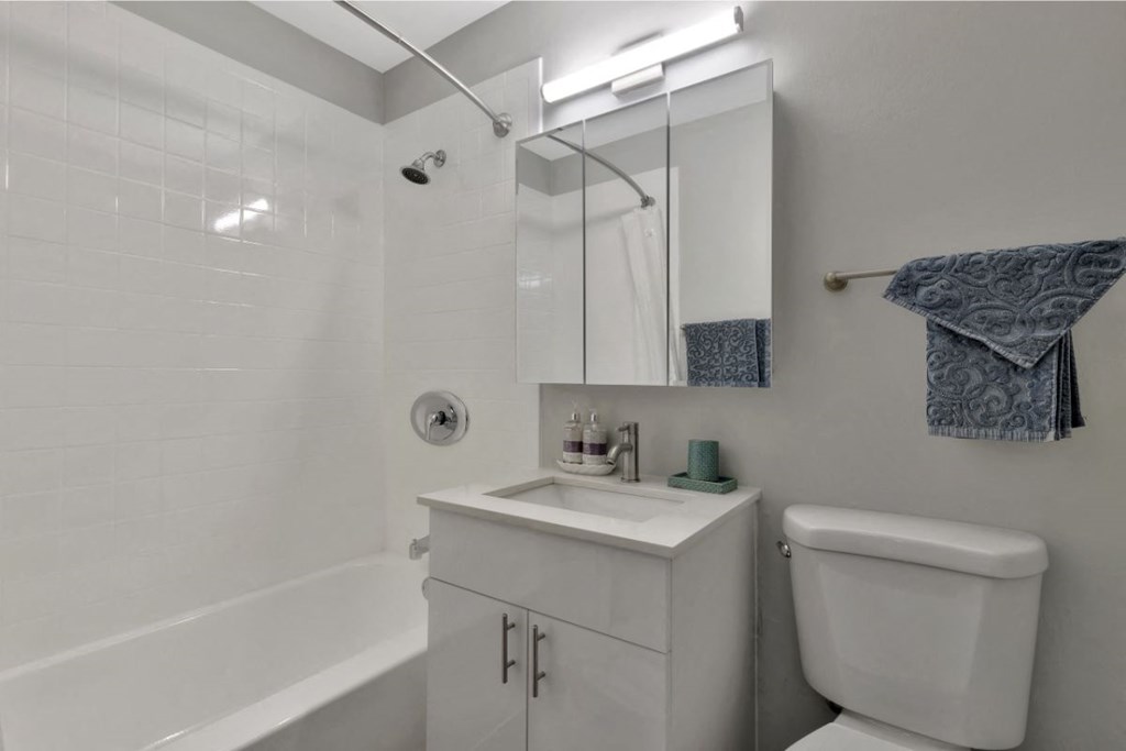 Bathroom With Bathtub at The Preserve at Woodfield, Illinois, 60008