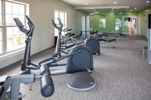 A gym with a variety of exercise equipment including treadmills, stationary bikes, and weight machines at Evergreen, Merrillville, 46410