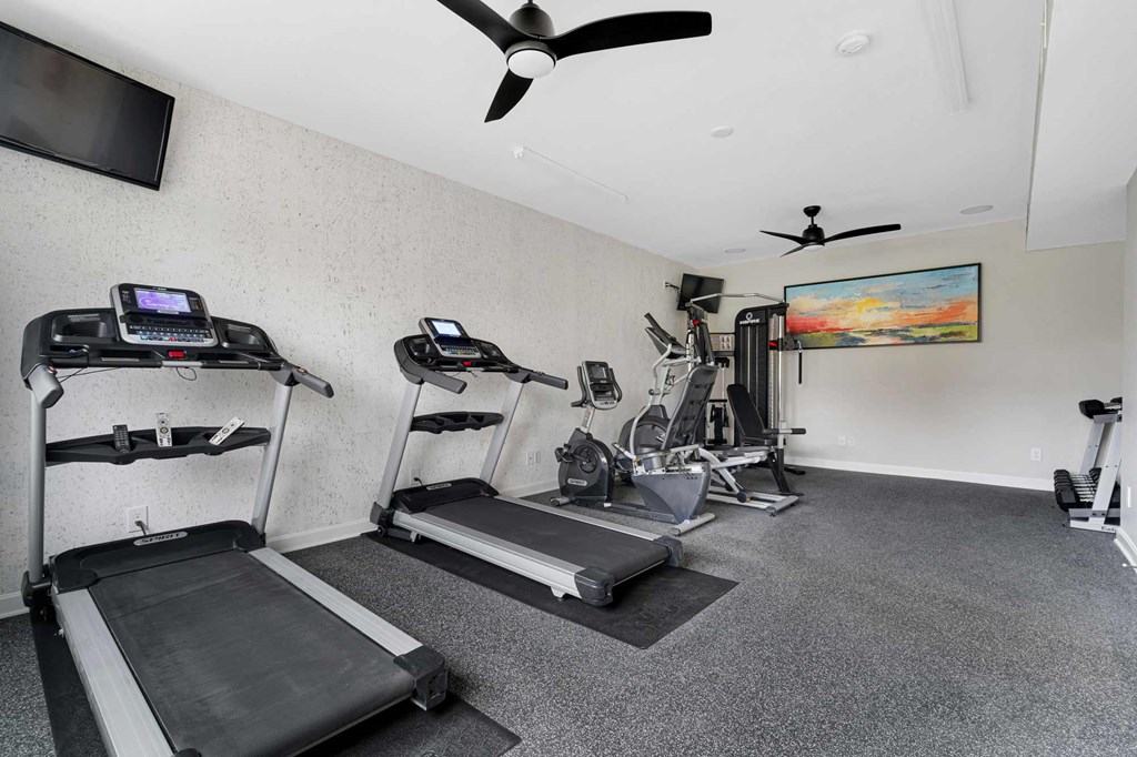 the Stonewater Park Apartments gym is equipped with treadmills, ellipticals, machines, free weights, and other exercise equipment