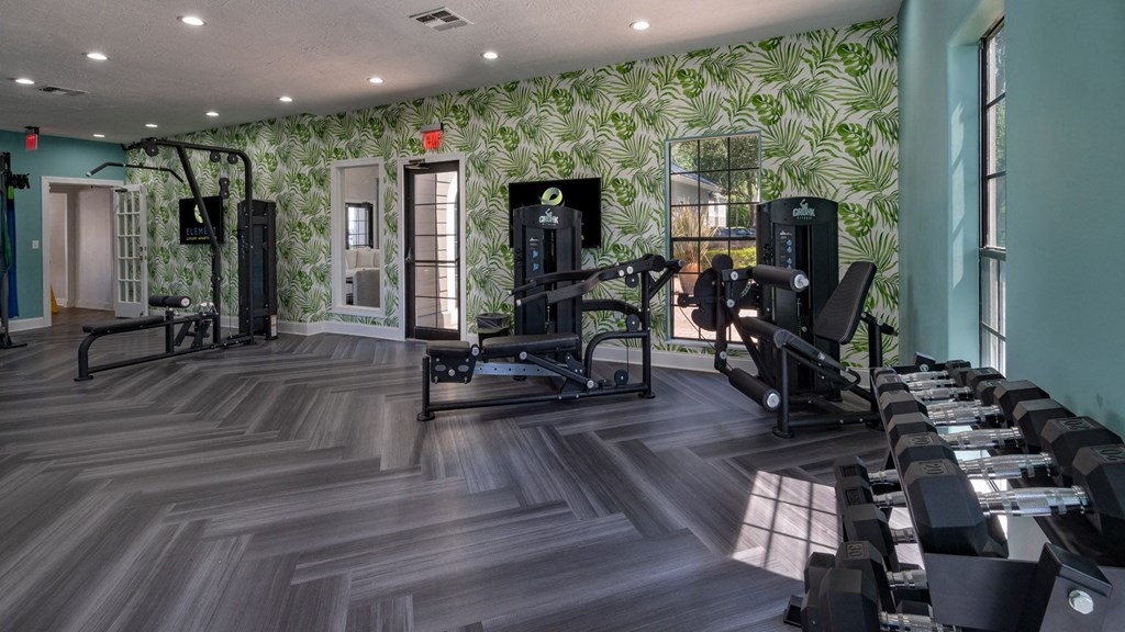a gym with cardio machines and weights in a room with green wallpaper