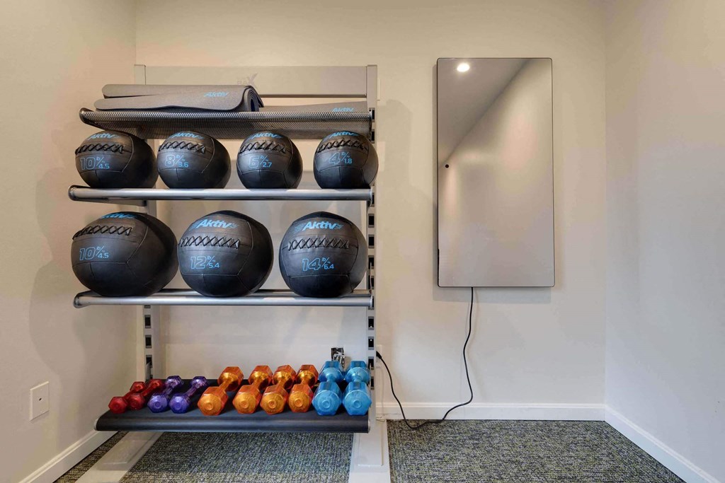 Free Weights at Station JTown, Louisville, 40299