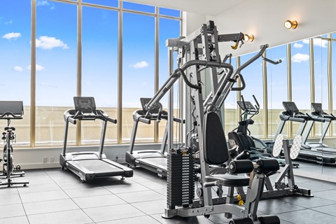 Penthouse Level Fitness Centre