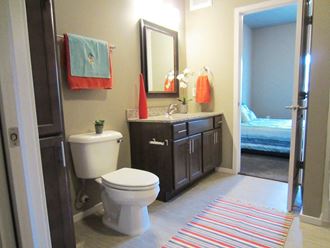 a bathroom with a toilet and a sink and a mirror