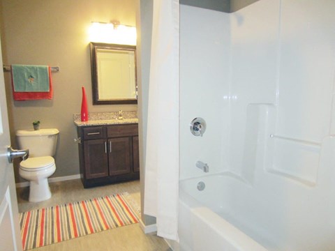 a bathroom with a shower and a toilet and a sink