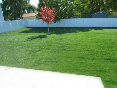 Yard