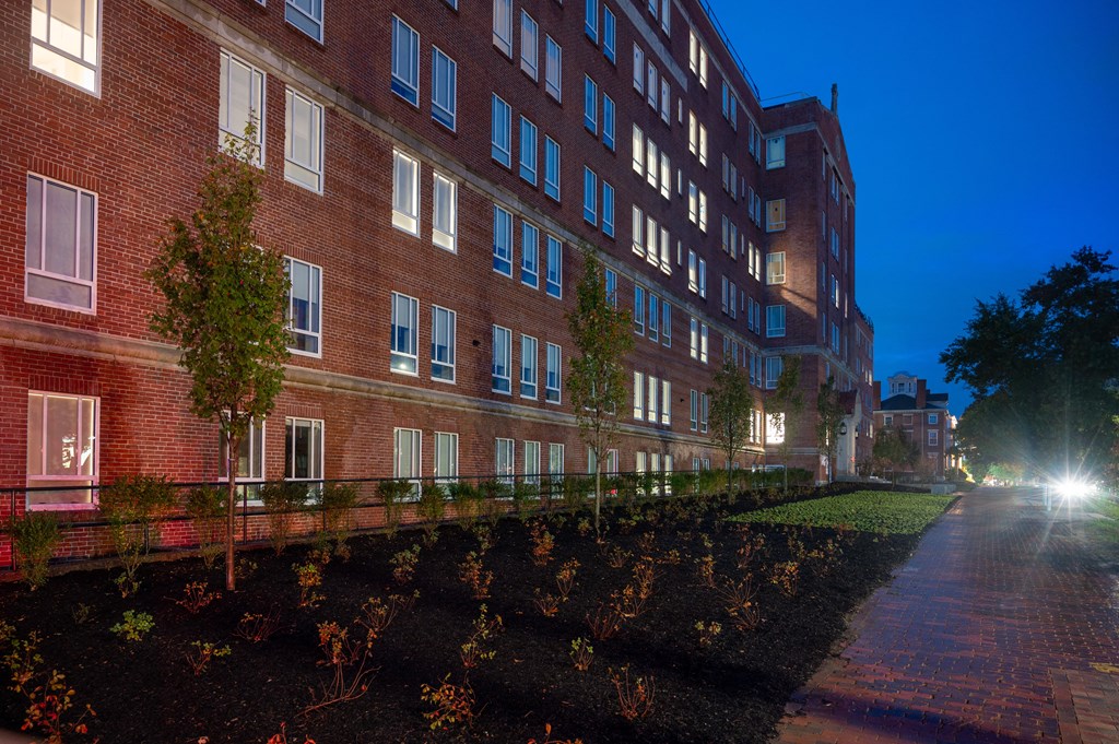 Nightingale at Night