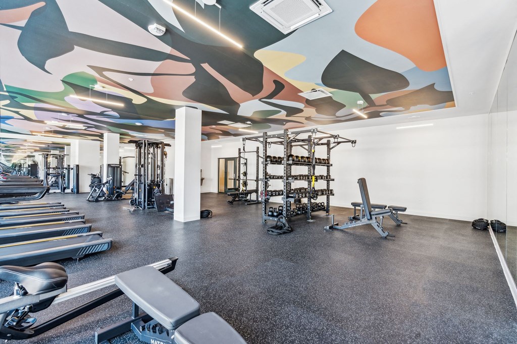 The Casco Gym TRX Machine