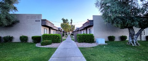 a walkway between two buildings with trees and grass on both sides of the walkway