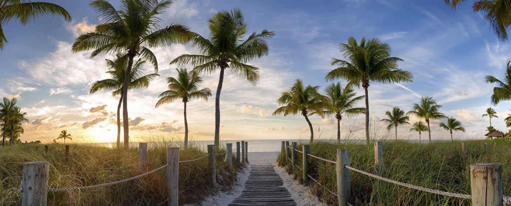 A wooden walkway leads through a grove of palm trees at Mayla Pompano, Pompano Beach