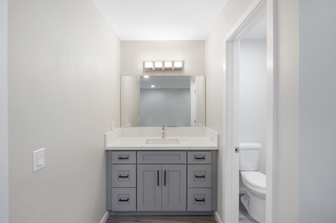 a bathroom with a sink and a toilet and a mirror