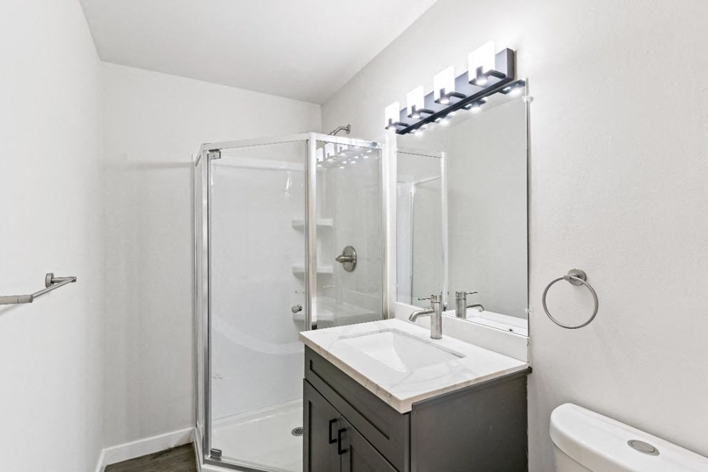 a bathroom with a shower and a sink and a toilet