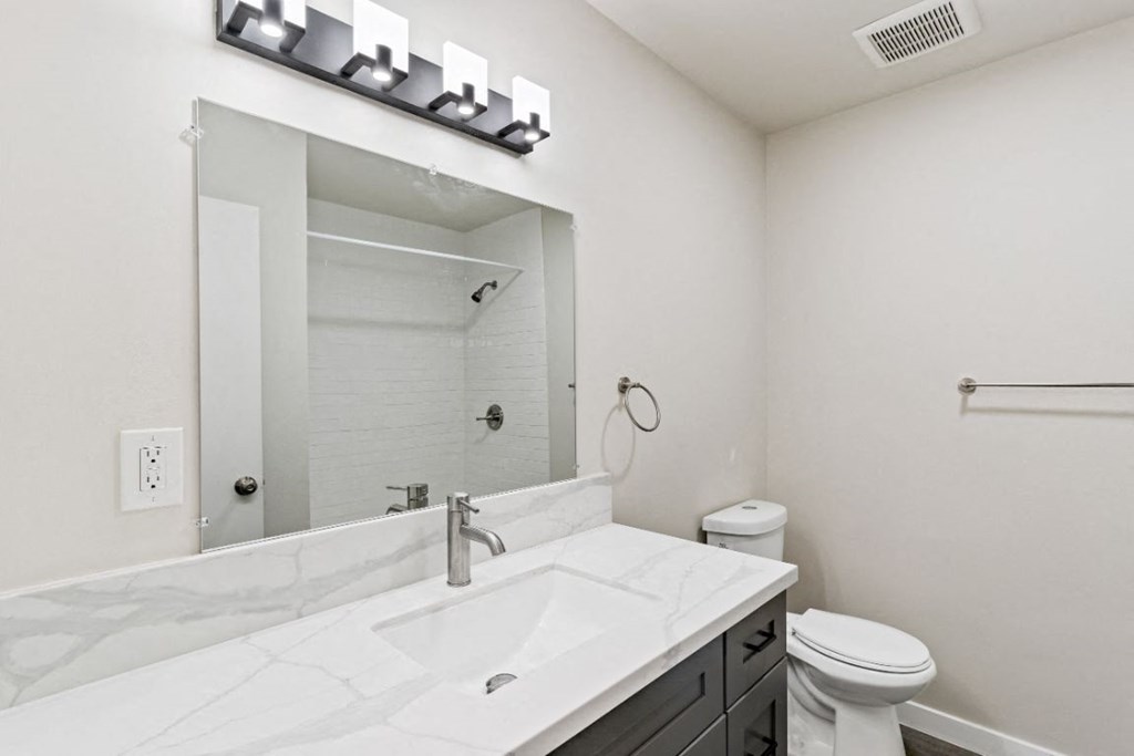 a bathroom with a sink and a mirror and a toilet
