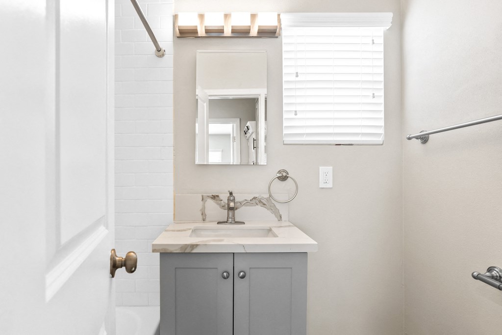 a bathroom with a sink and a mirror and a shower