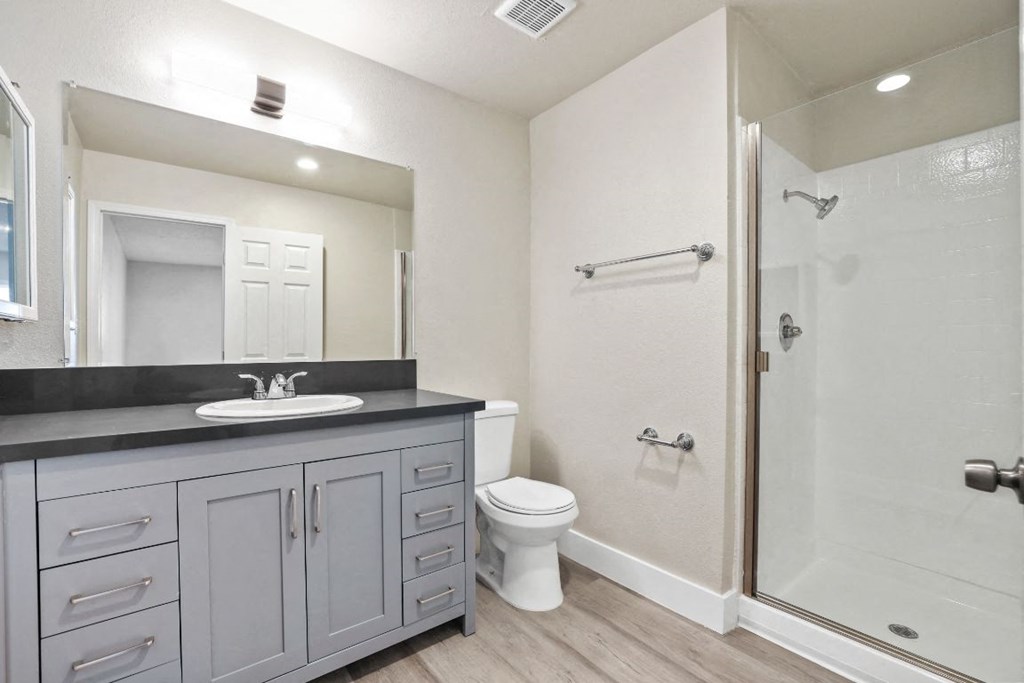 a bathroom with a sink toilet and a shower
