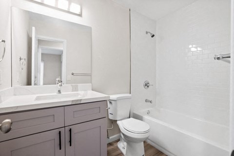 a bathroom with a sink toilet and a shower