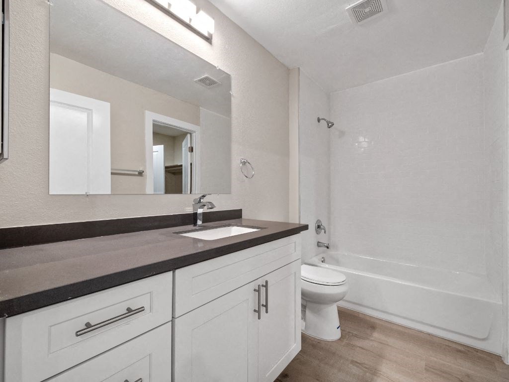 a bathroom with a sink and a toilet and a mirror