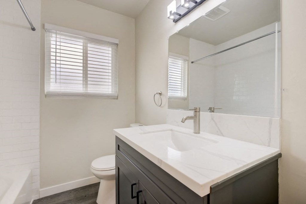 a bathroom with a sink and a toilet and a mirror