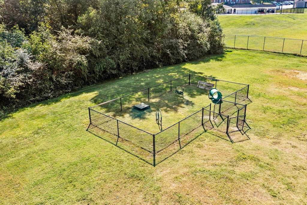 dog park at Rosen at North Hills, North Carolina, 27609