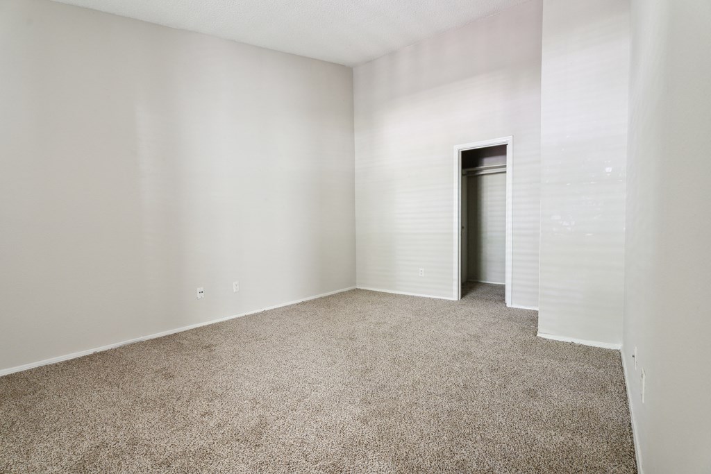 Plush Carpeting at Anson at North Hills, North Carolina