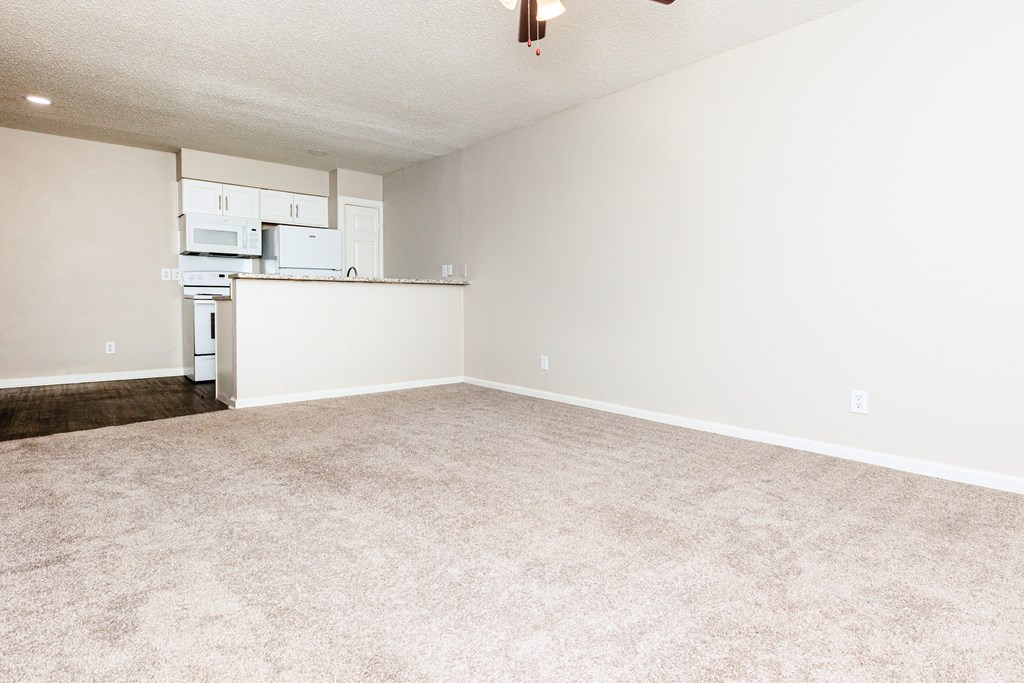 Carpeted Living Area at Lovato, Garland, TX, 75040