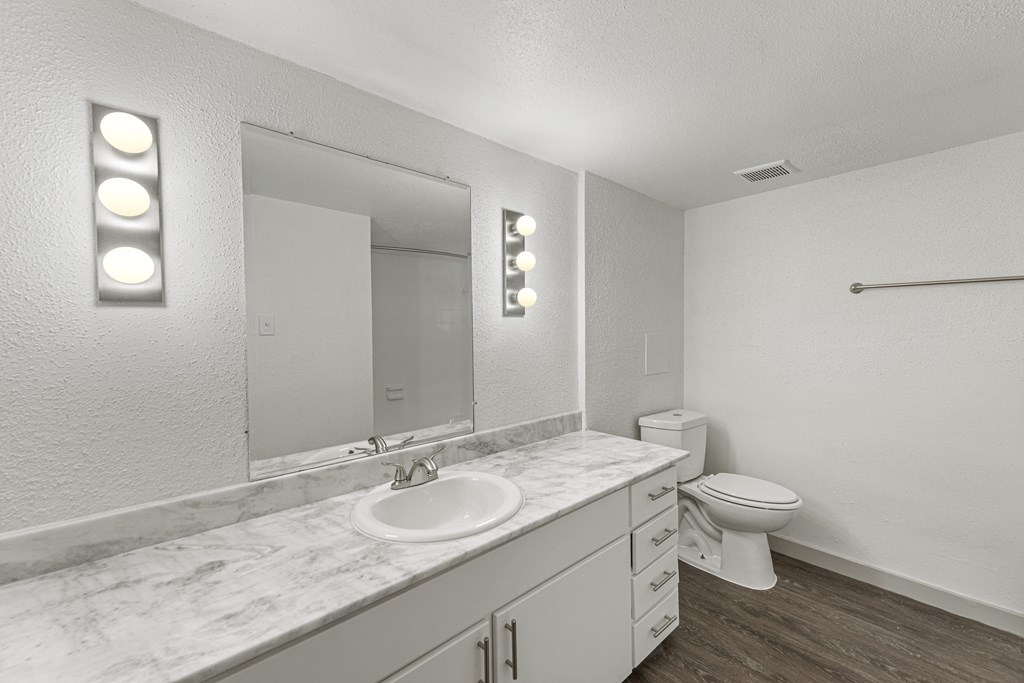 a bathroom with a sink and a toilet and a mirror