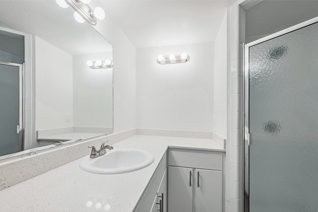 a bathroom with a sink and a shower and a mirror