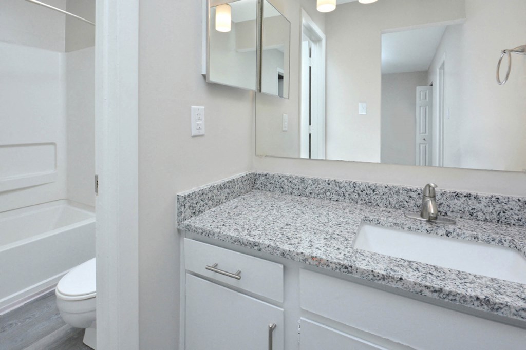 a bathroom with a sink and a mirror and a toilet at Henley, Fayetteville, NC, 28311