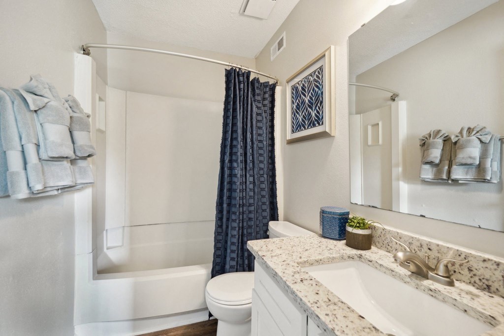 a bathroom with a sink and a toilet and a shower