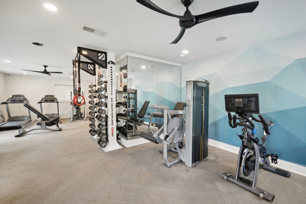 a home gym with weights and cardio equipment and a blue wall with a geometric design