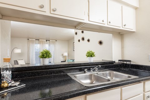a kitchen counter with a sink and a mirror