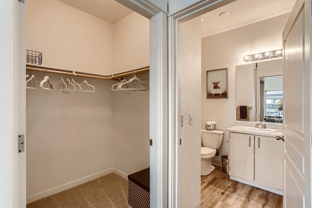 a bathroom with a toilet and a sink and a mirror