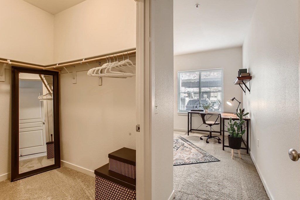 the entryway to a bedroom with a closet and a dressing room with a mirror